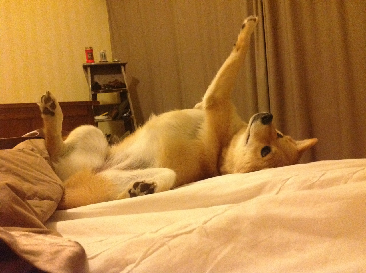 中乙俱乐部设立球员心理热线保障健康成长环境，中乙球队招人